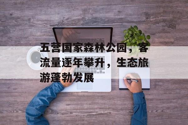 五营国家森林公园，客流量逐年攀升，生态旅游蓬勃发展