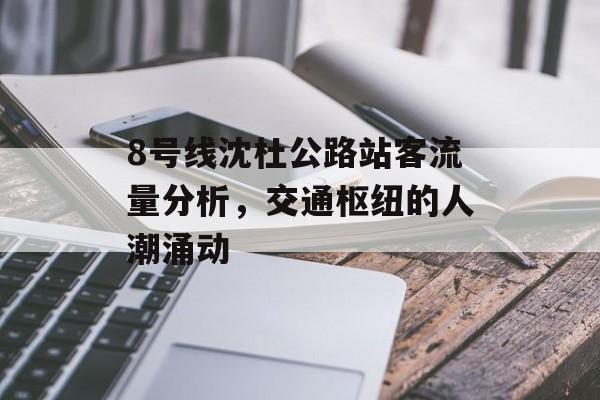 8号线沈杜公路站客流量分析,交通枢纽的人潮涌动 8号线沈杜公路站客流量分析,交通枢纽的人潮涌动