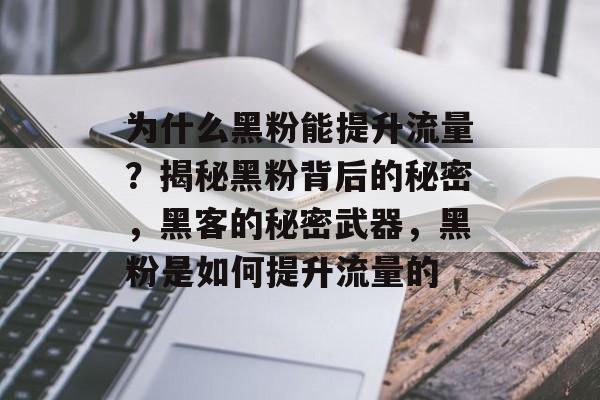 为什么黑粉能提升流量?揭秘黑粉背后的秘密,黑客的秘密武器,黑粉是如何提升流量的 为什么黑粉能提升流量?揭秘黑粉背后的秘密,黑客的秘密武器,黑粉是如何提升流量的