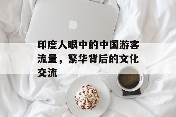 印度人眼中的中国游客流量,繁华背后的文化交流 印度人眼中的中国游客流量,繁华背后的文化交流