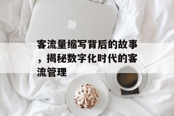 客流量缩写背后的故事,揭秘数字化时代的客流管理 客流量缩写背后的故事,揭秘数字化时代的客流管理