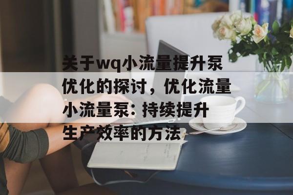 关于wq小流量提升泵优化的探讨，优化流量小流量泵: 持续提升生产效率的方法