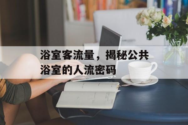 浴室客流量,揭秘公共浴室的人流密码 浴室客流量,揭秘公共浴室的人流密码
