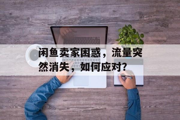 闲鱼卖家困惑,流量突然消失,如何应对? 闲鱼卖家困惑,流量突然消失,如何应对?
