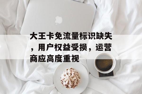 大王卡免流量标识缺失,用户权益受损,运营商应高度重视 大王卡免流量标识缺失,用户权益受损,运营商应高度重视