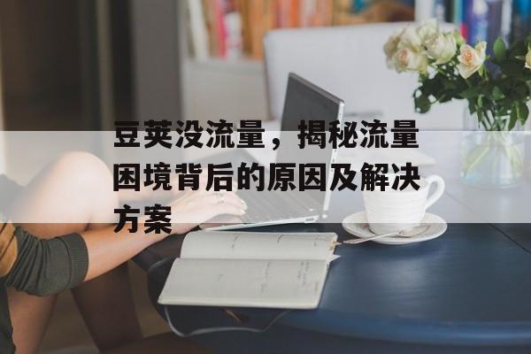 豆荚没流量,揭秘流量困境背后的原因及解决方案 豆荚没流量,揭秘流量困境背后的原因及解决方案