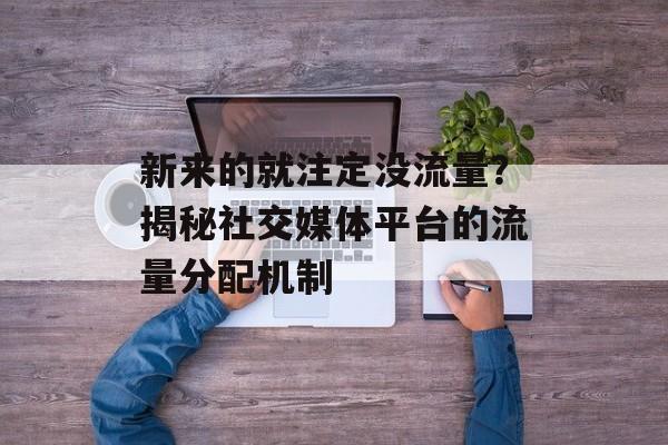 新来的就注定没流量？揭秘社交媒体平台的流量分配机制