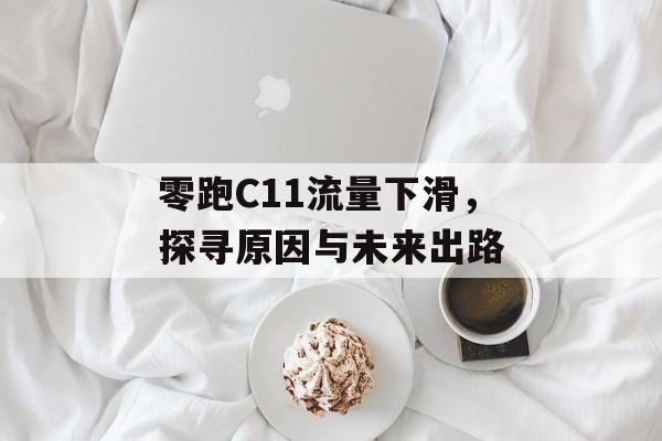 零跑C11流量下滑,探寻原因与未来出路 零跑C11流量下滑,探寻原因与未来出路