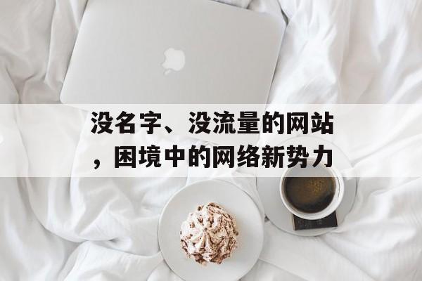 没名字、没流量的网站,困境中的网络新势力 没名字、没流量的网站,困境中的网络新势力