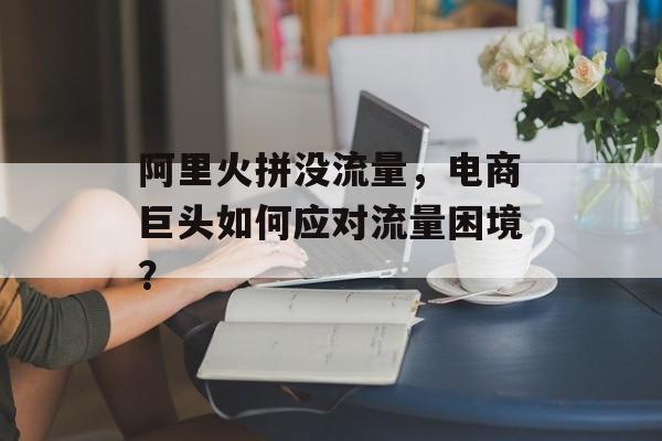 阿里火拼没流量,电商巨头如何应对流量困境? 阿里火拼没流量,电商巨头如何应对流量困境?