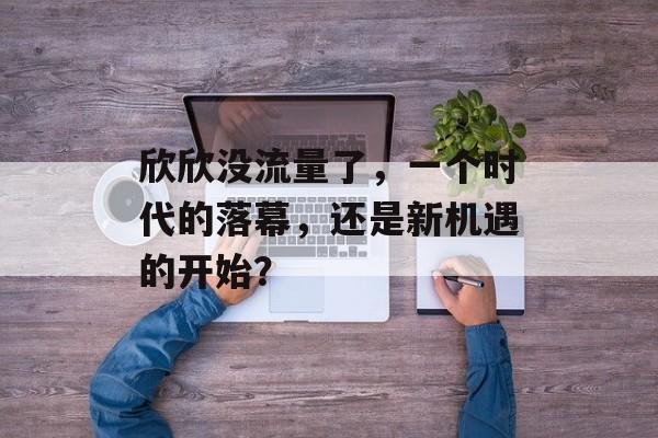 欣欣没流量了,一个时代的落幕,还是新机遇的开始? 欣欣没流量了,一个时代的落幕,还是新机遇的开始?