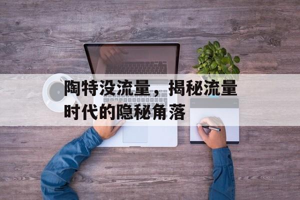 陶特没流量,揭秘流量时代的隐秘角落 陶特没流量,揭秘流量时代的隐秘角落