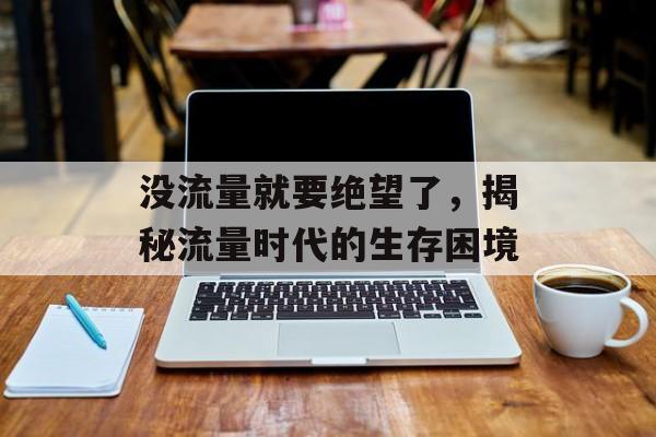 没流量就要绝望了,揭秘流量时代的生存困境 没流量就要绝望了,揭秘流量时代的生存困境