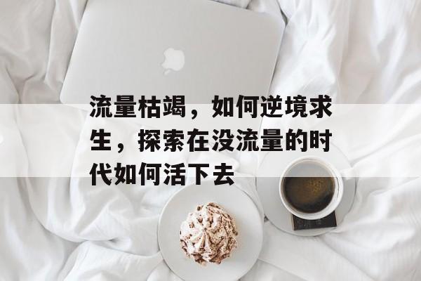 流量枯竭,如何逆境求生,探索在没流量的时代如何活下去 流量枯竭,如何逆境求生,探索在没流量的时代如何活下去