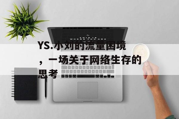 YS.小刘的流量困境,一场关于网络生存的思考 YS.小刘的流量困境,一场关于网络生存的思考