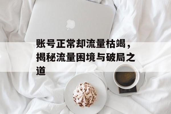 账号正常却流量枯竭,揭秘流量困境与破局之道 账号正常却流量枯竭,揭秘流量困境与破局之道