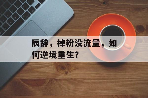 辰辞,掉粉没流量,如何逆境重生? 辰辞,掉粉没流量,如何逆境重生?