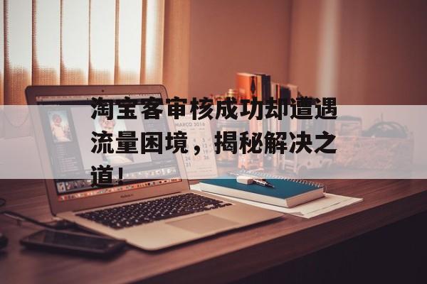 淘宝客审核成功却遭遇流量困境，揭秘解决之道！