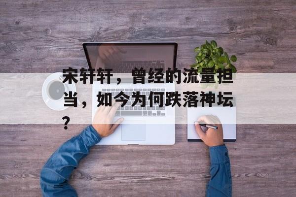 宋轩轩,曾经的流量担当,如今为何跌落神坛? 宋轩轩,曾经的流量担当,如今为何跌落神坛?