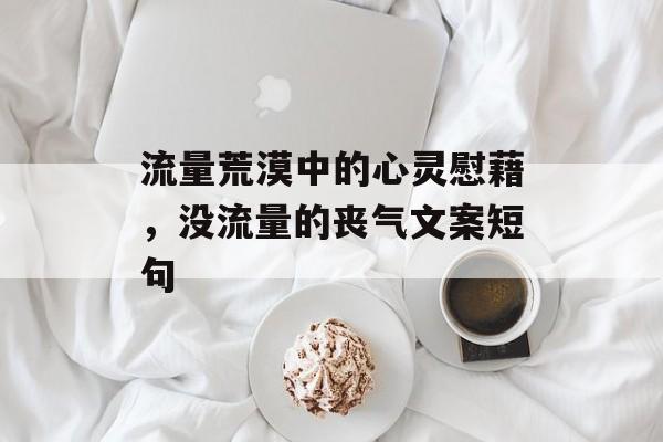 流量荒漠中的心灵慰藉，没流量的丧气文案短句