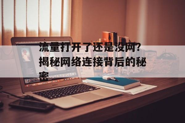 流量打开了还是没网?揭秘网络连接背后的秘密 流量打开了还是没网?揭秘网络连接背后的秘密