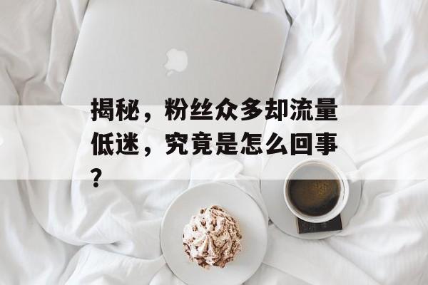 揭秘,粉丝众多却流量低迷,究竟是怎么回事? 揭秘,粉丝众多却流量低迷,究竟是怎么回事?