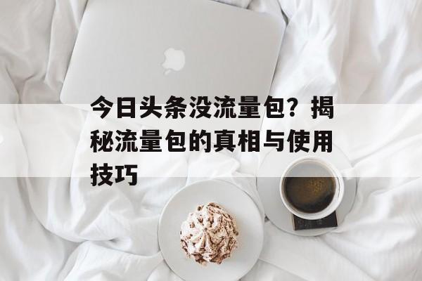 今日头条没流量包?揭秘流量包的真相与使用技巧 今日头条没流量包?揭秘流量包的真相与使用技巧