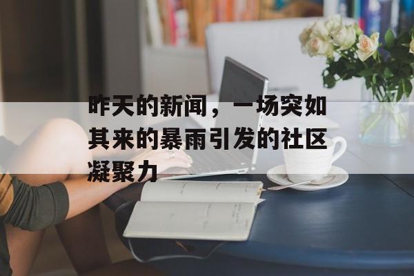 昨天的新闻,一场突如其来的暴雨引发的社区凝聚力 昨天的新闻,一场突如其来的暴雨引发的社区凝聚力