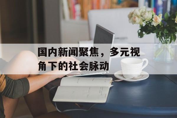 国内新闻聚焦，多元视角下的社会脉动