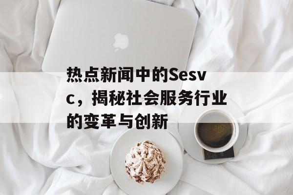 热点新闻中的Sesvc,揭秘社会服务行业的变革与创新 热点新闻中的Sesvc,揭秘社会服务行业的变革与创新